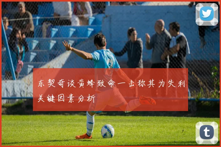 东契奇谈黄蜂致命一击称其为失利关键因素分析