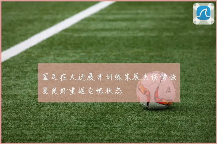 国足在大连展开训练朱辰杰伤势恢复良好重返合练状态