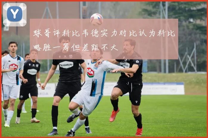 球哥评科比韦德实力对比认为科比略胜一筹但差距不大